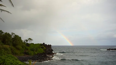 Black sand beach Stock Footage 115377575