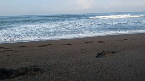 Black sand beach Stock Footage 243875695