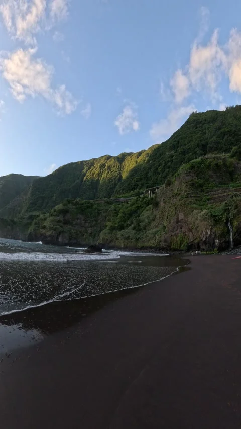 Black Sand Beach Stock Footage 311203693