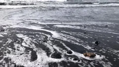 Black Sand Beach Stock Footage 329460290