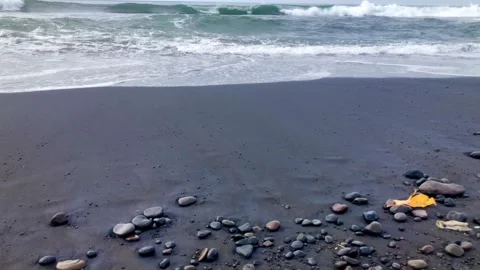 Black Sand Beach Stock Footage 329460298