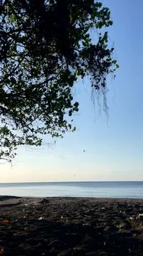 Black Sand Beach Framed by Lush Tree Branches in Bali Stock Photos