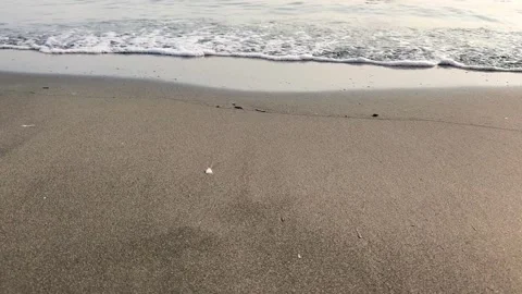 Black Sand Beach with Gentle Ocean Waves Stock Footage 336859072