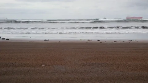Black sand beach in Limbe Stock Footage 81065154