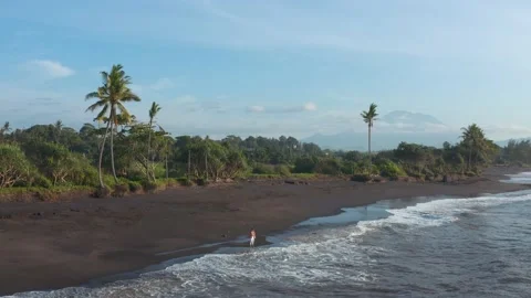 Black Sand Beach Man Walking 2 Stock Footage 168396737