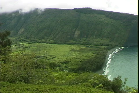 Black Sand Beach-pan Stock-Footage 816480