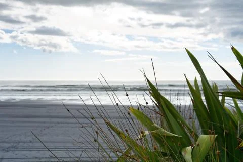 Black sand beach Stock Photos