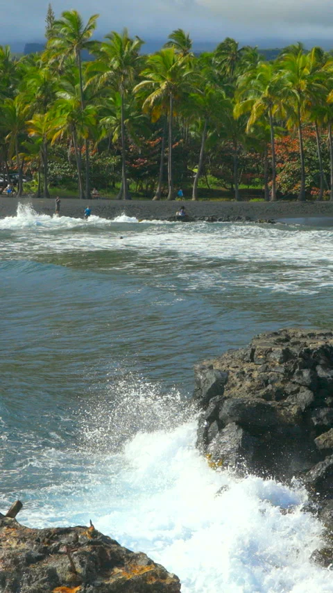 Black Sand Beach State Park Stock Footage 293153905