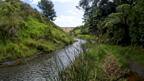 Black Sand Dune and Waiti stream : Hidden Gems of Lake Wainamu in Waitakere.. Stock Footage 284393586
