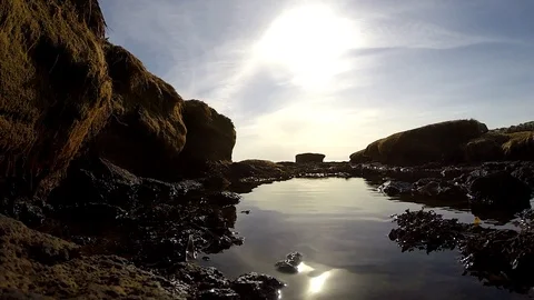 Black Sand Dunes In Eyrarbakki south coast. Iceland Stock Footage 118315225