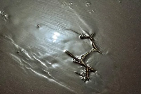 Black sand pattern, Dandi beach, Navsari, Gujarat, India, Asia India Copyr... Stock Photos