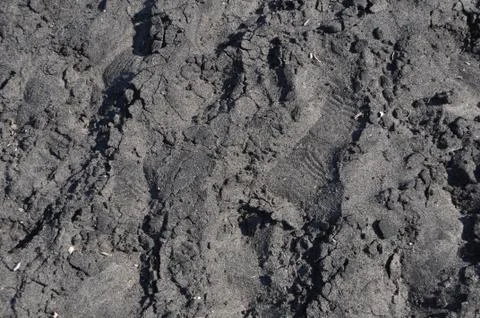 Black sand Stock Photos