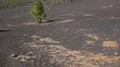Black sand volcano landscape tilt up in La Palma - Spain 4k or 4k+ Resolution
