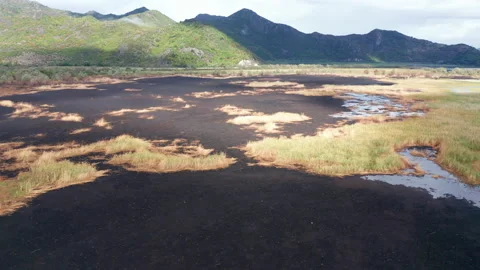 Black scorched ground as a result of controlled burning of a marsh wetland Stock Footage 139972944