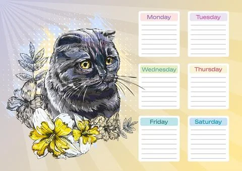 Black scottish cat with bow printable planner and school schedule vector Stock Illustration