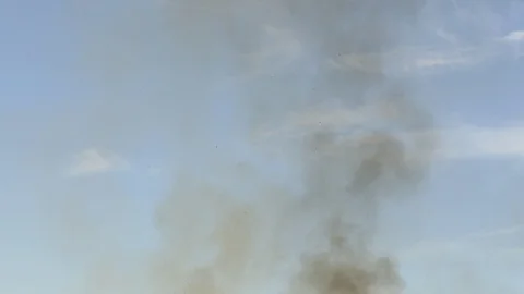 Black scrap ashes for burned forest, video 4k Stock Footage 90157622