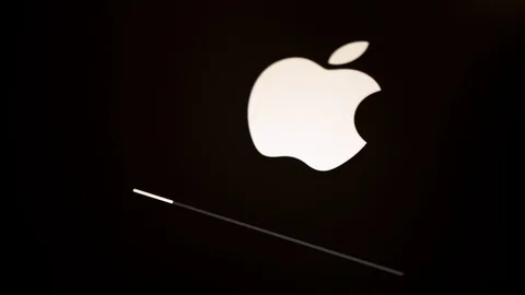 Black screen with apple logo and status bar pop up after update ios Stock-Footage 106002301