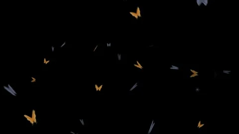 Black screen spring butterfly overlay Video stock 310287513