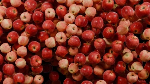 Black screen transition Apple falling down, animation Stock Footage 303485556