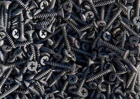 Black screws with a cross hat close up Stock Photos