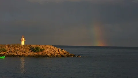 The Black Sea and Swallow Stock Footage 92801337