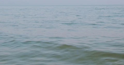 The black sea coast Stock Footage 227004938