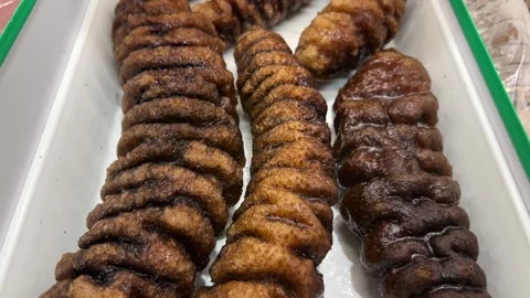 Black Sea Cucumber Stock Footage 295815835