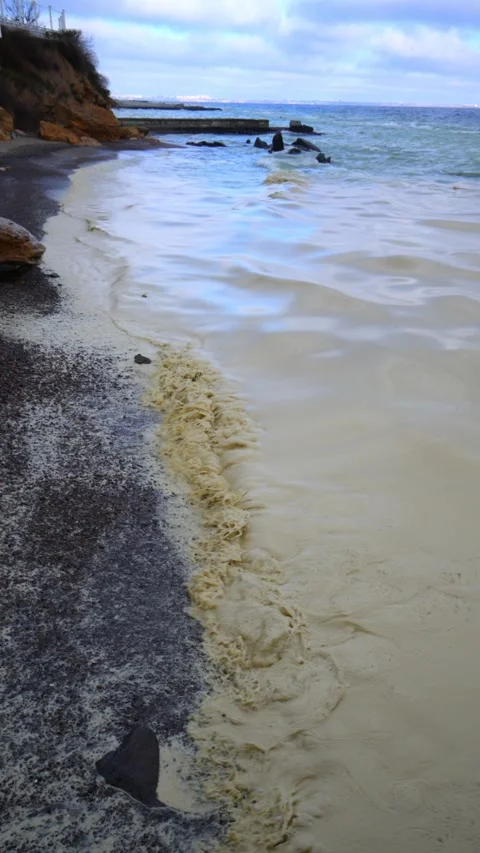 Black Sea. Environmental disaster: a large-scale vegetable oil spill into t.. Stock Footage 339933027