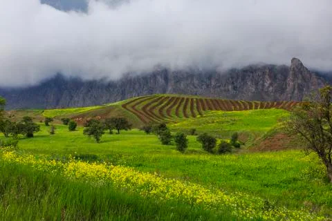 Black sea Foto stock