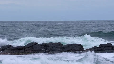 Black Sea Reef Stock Footage 155441948