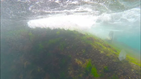 Black Sea . Sea wave is split about stone. Stock Footage 67857238