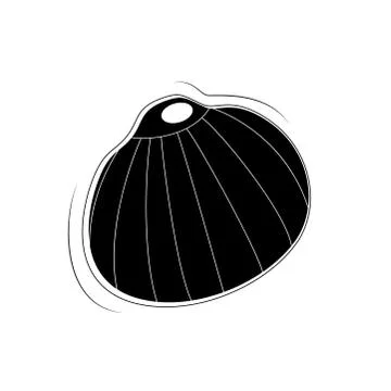 Black sea shell icon vector illustration isolated on white background イラスト素材