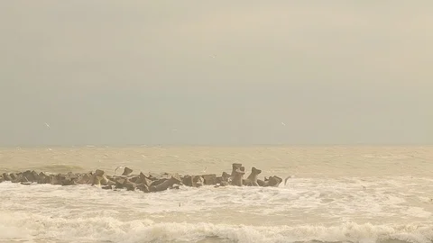 Black Sea with stabiloposes to stop strong waves in winter. Stock Footage 101976202