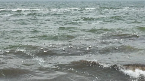 Black sea at the storm in spring in Odesa, Ukraine - 4K, Handheld, Audio Stock Footage 180636202