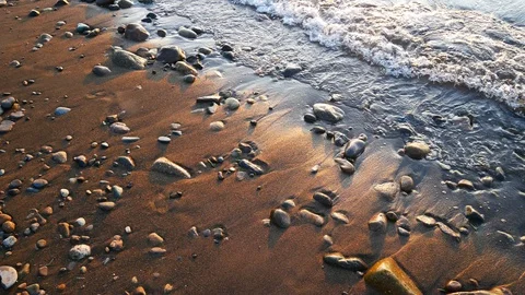 	black sea in summer sunset Stock Footage 116255451