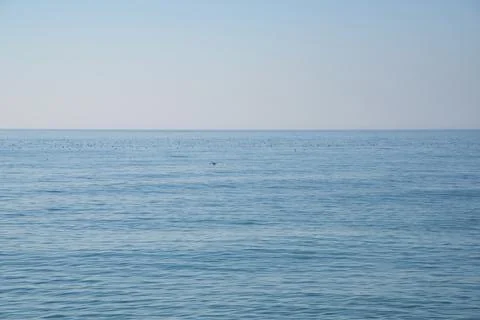 Black sea view Stock Photos