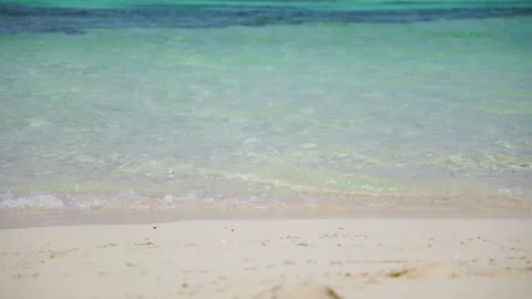 A black seagull flying by on a background of turquoise water on a Red Sea beach Video stock 294892472