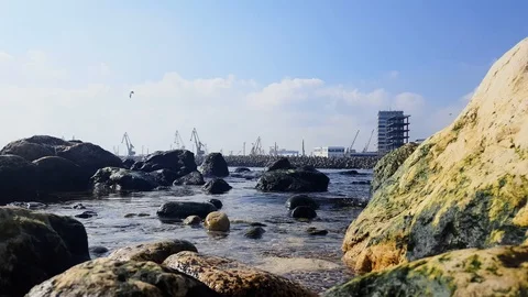 The black seashore and the harbor Stock Footage 85998218