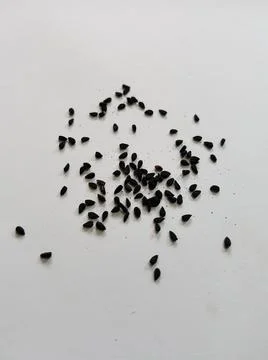 Black seeds Stock Photos