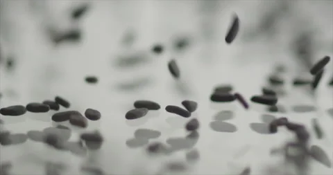 Black sesame falls on a light mirror surface Stock Footage 200869040