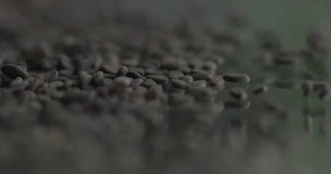 Black sesame falls on a mirror surface Stock Footage 198344633