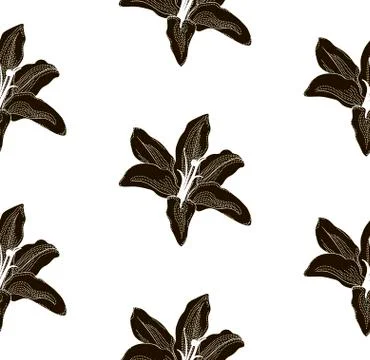 Black Shape Seamless Pattern with Drawn Lilies Stock Illustration