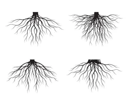 Black shape of Tree and Roots. Vector Illustration. 스톡 일러스트