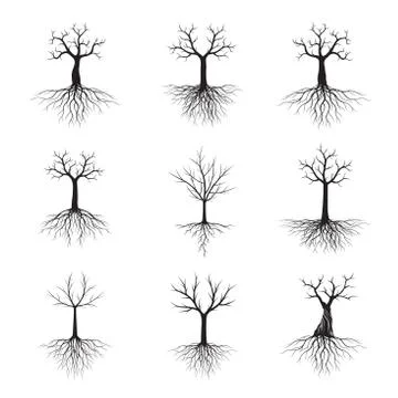 Black shape of Tree and Roots. Vector Illustration. 스톡 일러스트