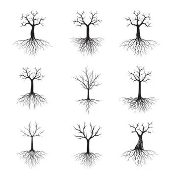 Black shape of Tree and Roots. Vector Illustration. 스톡 일러스트