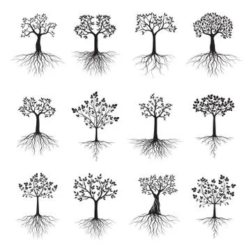 Black shape of Tree with Leaves and Roots. Vector Illustration. Stock Illustration