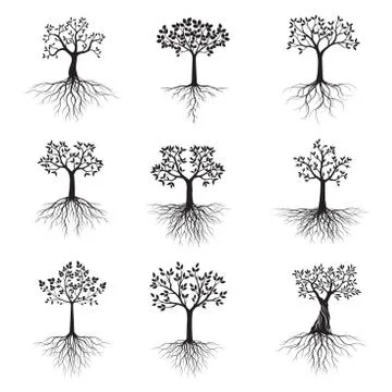 Black shape of Tree with Leaves and Roots. Vector Illustration. Stock Illustration