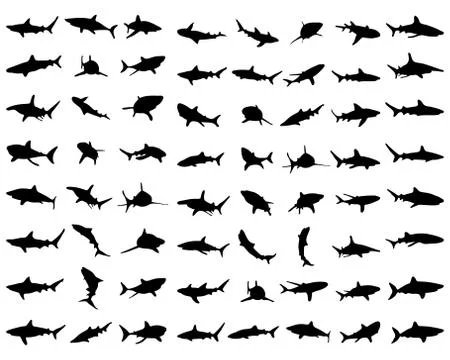 Black shark silhouettes Stock Illustration