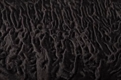 Black sheep fur pattern Stock Photos