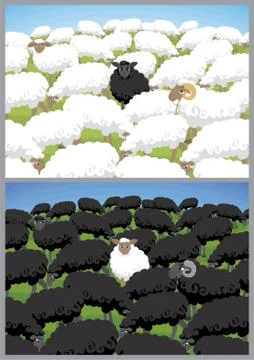 Black Sheep Stock Illustration